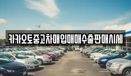 경기도 여주시 상거동 중고차매입 전문 카카오토중고차매입매매수출판매시세