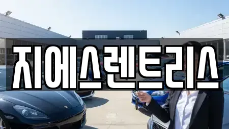 경기도 평택시 가재동 렌트카 전문 지에스렌트리스