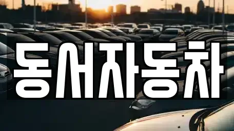 경남 창녕군 영산면 중고차매매 전문 동서자동차