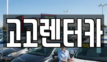 경남 창원시 마산합포구 산호동 렌트카 전문 고고렌터카