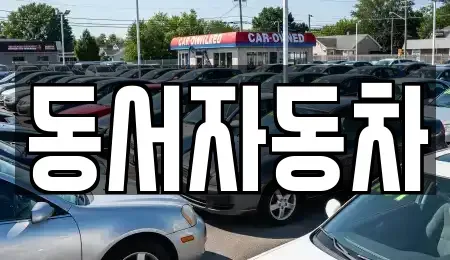 경남 창원시 마산합포구 산호동 중고차매매 전문 동서자동차
