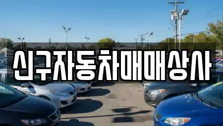 경남 창원시 마산합포구 산호동 중고차매매 전문 신구자동차매매상사