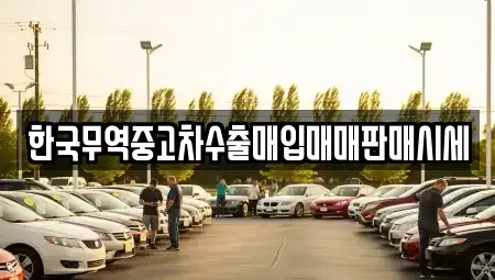 경남 창원시 마산합포구 산호동 중고차매매,단기렌트카,중고차매입,장기렌트카,중고차,렌트카
