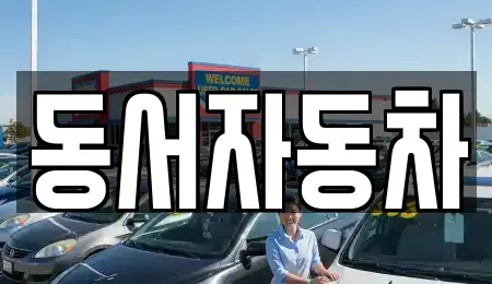 경남 창원시 마산회원구 봉암동 중고차 전문 동서자동차
