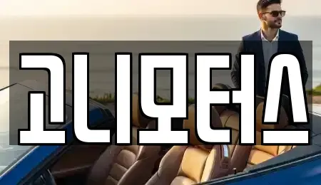 경북 경산시 신천동 중고차 전문 고니모터스