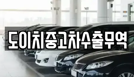 경북 경산시 신천동 중고차 전문 도이치중고차수출무역