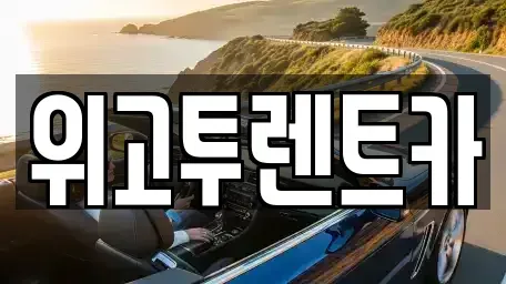 경상남도 김해시 대성동 단기렌트카 전문 위고투렌트카