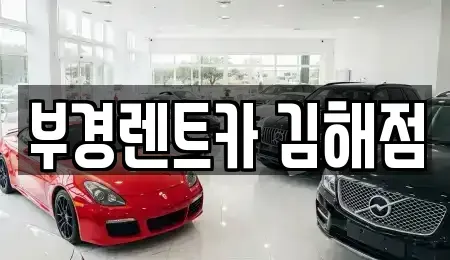 경상남도 김해시 대성동 렌트카 전문 부경렌트카 김해점