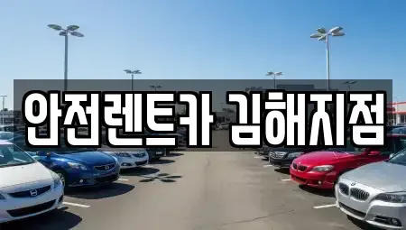 경상남도 김해시 대성동 렌트카 전문 안전렌트카 김해지점