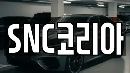 경상남도 김해시 대성동 장기렌트카 전문 SNC코리아