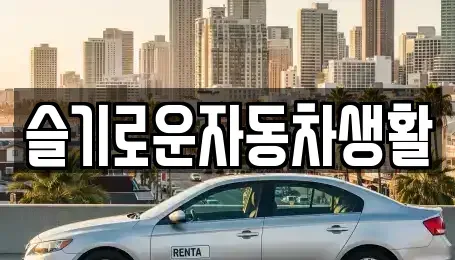 경상남도 김해시 대성동 중고차매매 전문 슬기로운자동차생활