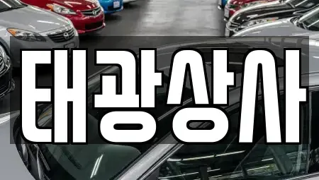 경상남도 김해시 대성동 중고차매매 전문 태광상사