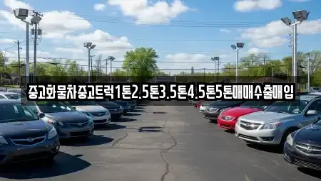 경상남도 김해시 대성동 중고차매입 전문 중고화물차중고트럭1톤2.5톤3.5톤4.5톤5톤매매수출매입