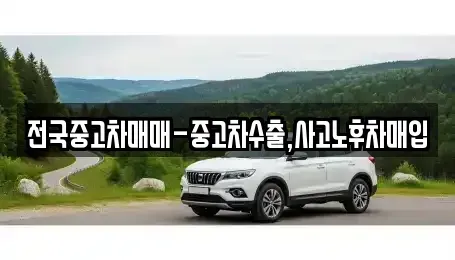 경상남도 창원시 진해구 중평동 중고차매입 전문 전국중고차매매-중고차수출,사고노후차매입