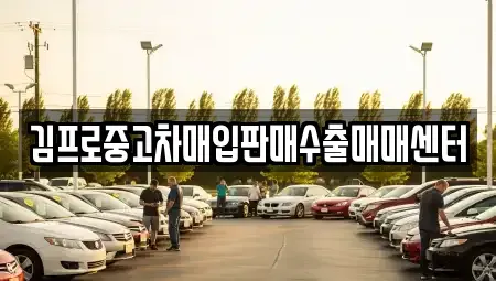 경상남도 창원시 진해구 회현동 중고차매매 전문 김프로중고차매입판매수출매매센터