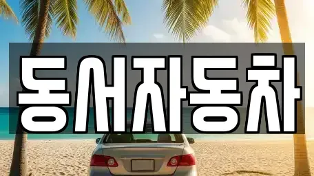 경상북도 경주시 시래동 중고차 전문 동서자동차