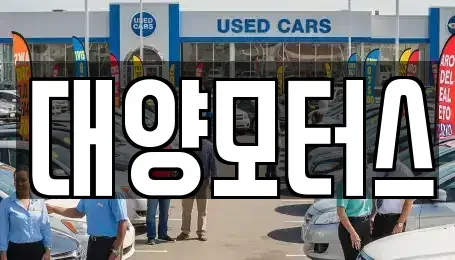 광주광역시 광산구 황룡동 중고차 전문 대양모터스
