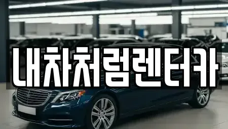 대구광역시 동구 대림동 렌트카 전문 내차처럼렌터카