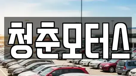 대구광역시 동구 대림동 중고차 전문 청춘모터스