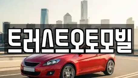 대구광역시 동구 대림동 중고차 전문 트러스트오토모빌
