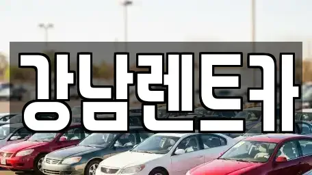 대전 동구 구도동 렌트카 전문 강남렌트카