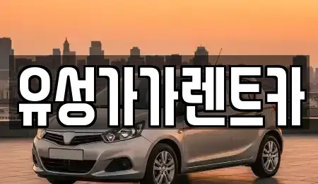 대전광역시 유성구 덕진동 렌트카 전문 유성가가렌트카