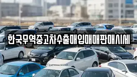 대전광역시 유성구 덕진동 중고차 전문 한국무역중고차수출매입매매판매시세
