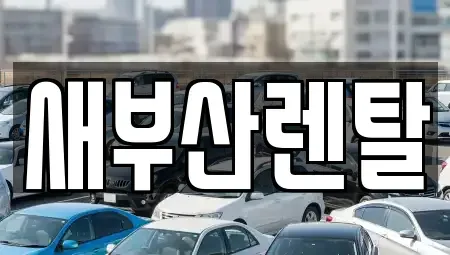 부산광역시 금정구 금사동 렌트카 전문 새부산렌탈