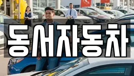 부산광역시 금정구 금사동 중고차 전문 동서자동차