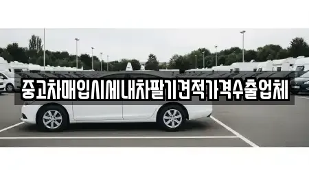 부산광역시 금정구 금사동 중고차 전문 중고차매입시세내차팔기견적가격수출업체