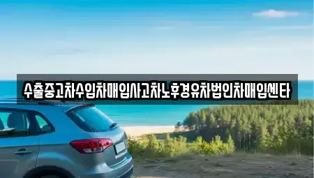 부산광역시 금정구 금사동 중고차매입 전문 수출중고차수입차매입사고차노후경유차법인차매입센타