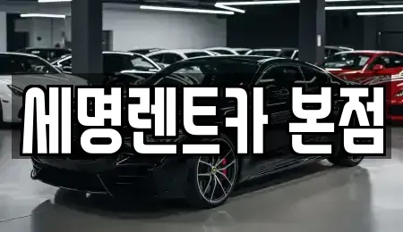 부산광역시 영도구 봉래동2가 렌트카 전문 세명렌트카 본점