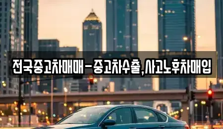 부산광역시 영도구 봉래동2가 중고차 전문 전국중고차매매-중고차수출,사고노후차매입