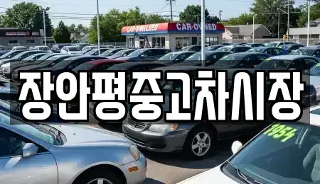 서울 영등포구 영등포동1가 중고차 전문 장안평중고차시장