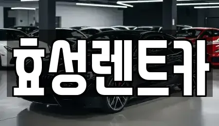 서울특별시 영등포구 문래동5가 렌트카 전문 효성렌트카