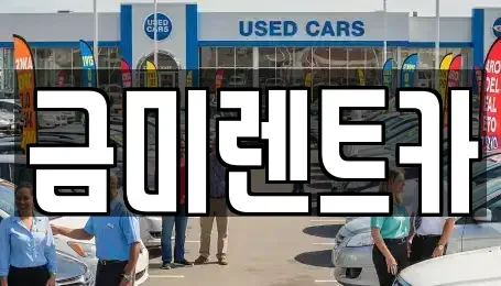 서울특별시 영등포구 문래동5가 장기렌트카 전문 금미렌트카