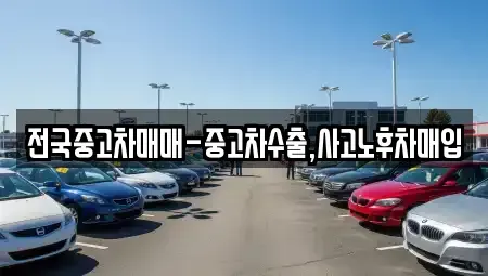 서울특별시 영등포구 문래동5가 중고차 전문 전국중고차매매-중고차수출,사고노후차매입