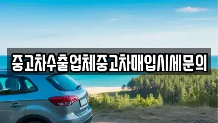 서울특별시 영등포구 문래동5가 중고차매입 전문 중고차수출업체중고차매입시세문의