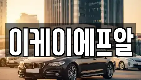 서울특별시 중구 순화동 렌트카 전문 이케이에프알