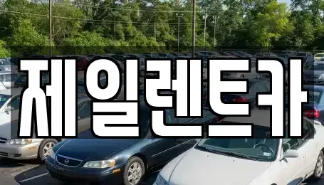 서울특별시 중구 순화동 장기렌트카 전문 제일렌트카