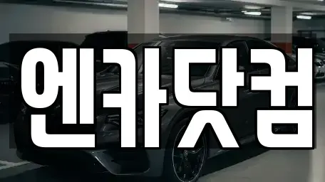 서울특별시 중구 순화동 중고차 전문 엔카닷컴