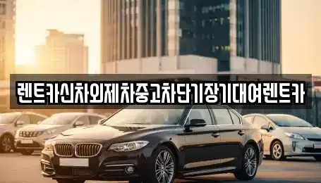 서울특별시 중구 충무로3가 단기렌트카 전문 렌트카신차외제차중고차단기장기대여렌트카