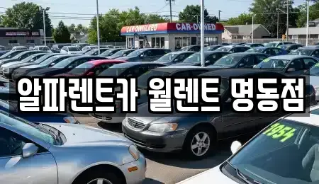 서울특별시 중구 충무로3가 렌트카 전문 알파렌트카 월렌트 명동점
