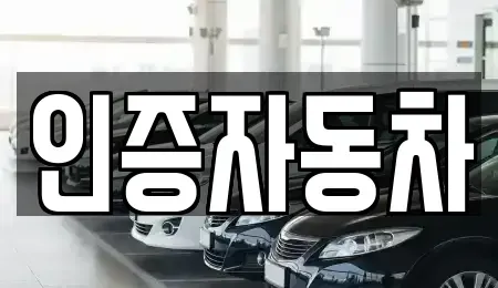 서울특별시 중구 충무로3가 중고차매매 전문 인증자동차