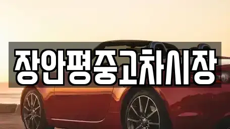 서울특별시 중구 충무로3가 중고차매매 전문 장안평중고차시장