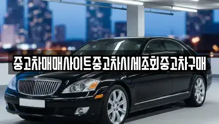 서울특별시 중구 충무로3가 중고차매매,단기렌트카,중고차매입,장기렌트카,중고차,렌트카