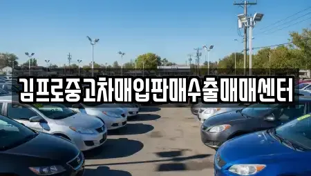 서울특별시 중구 충무로3가 중고차매입 전문 김프로중고차매입판매수출매매센터
