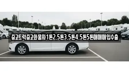 서울특별시 중구 충무로3가 중고차매입 전문 중고트럭중고화물차1톤2.5톤3.5톤4.5톤5톤매매매입수출