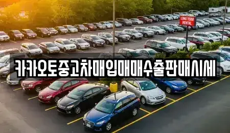 서울특별시 중구 충무로3가 중고차매입 전문 카카오토중고차매입매매수출판매시세