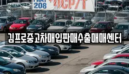 전남 영광군 군서면 중고차 전문 김프로중고차매입판매수출매매센터